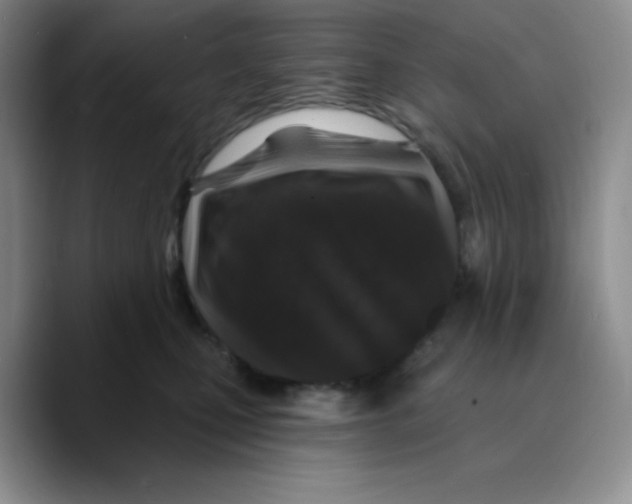 X0000089700471200707201744