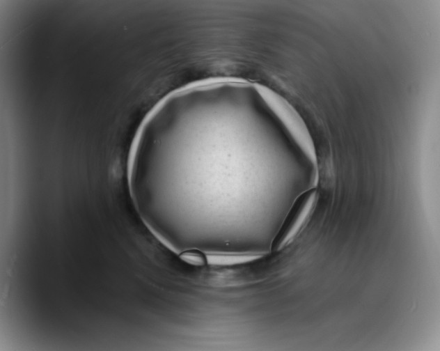 X0000089700472200707201744