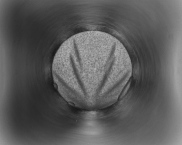 X0000089700473200707201744