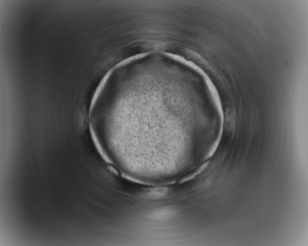 X0000089700474200707201744