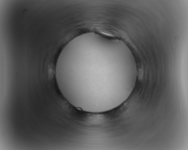 X0000089700476200707201744