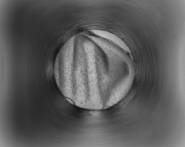 X0000089700478200707201744