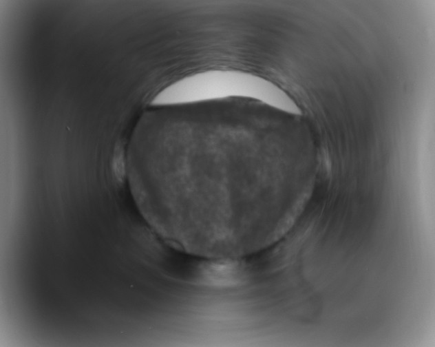 X0000089700479200707201744
