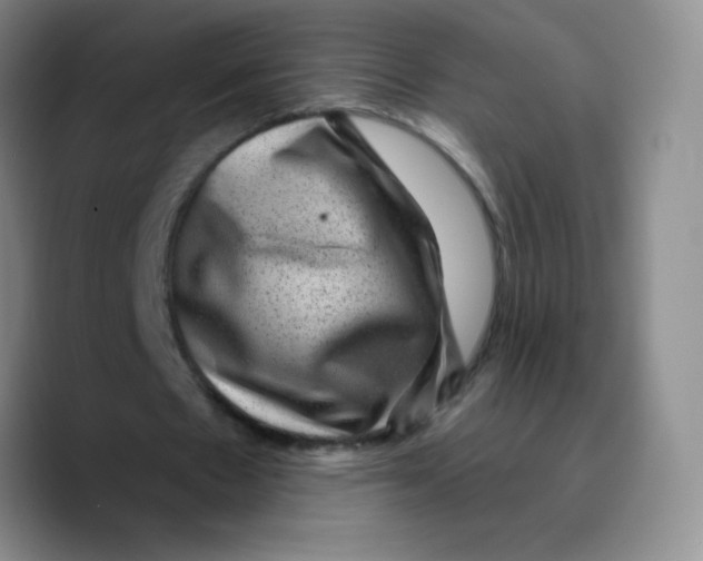 X0000089700481200707201743