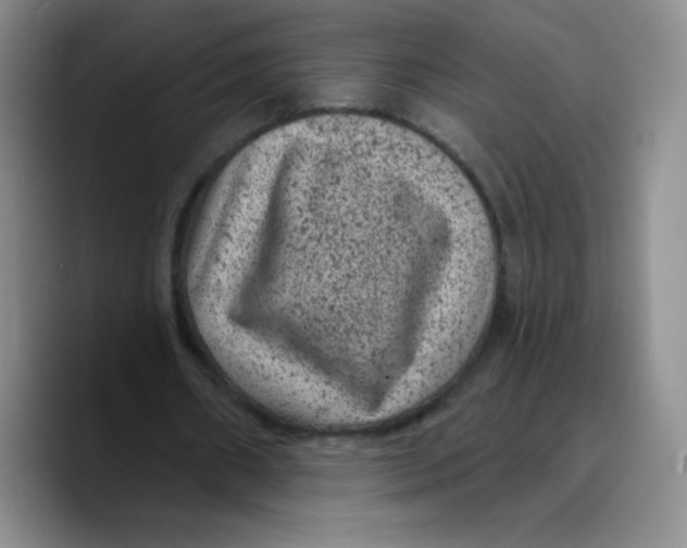 X0000089700482200707201743