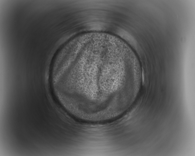 X0000089700483200707201743