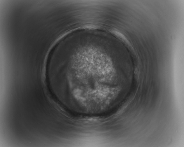 X0000089700484200707201743