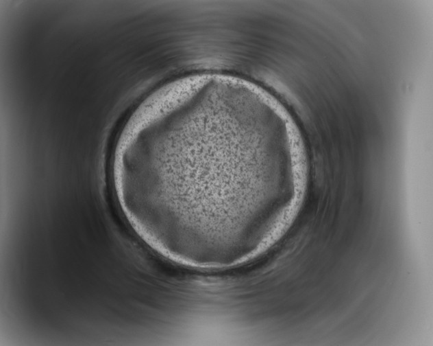 X0000089700486200707201743
