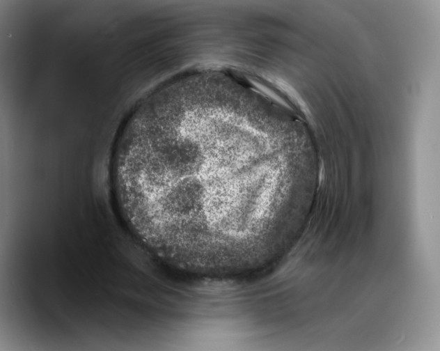 X0000089700487200707201743