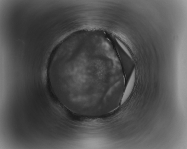 X0000089700488200707201743