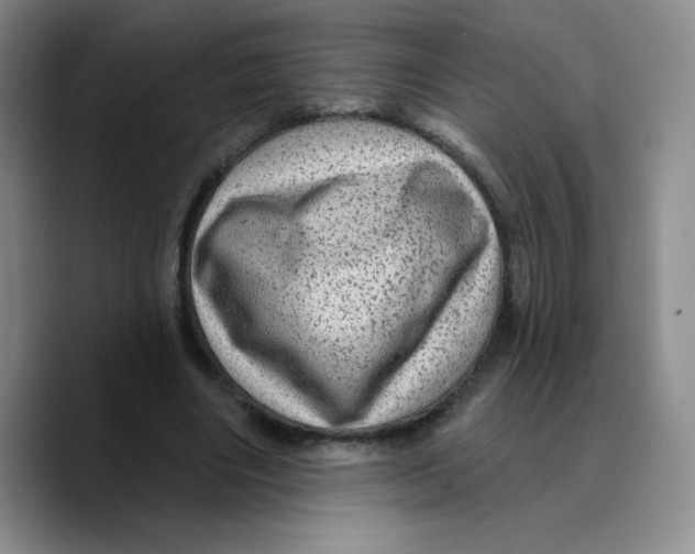 X0000089700490200707201743