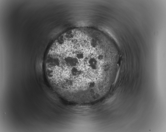 X0000089700491200707201743