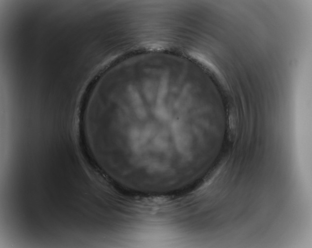X0000089700492200707201743