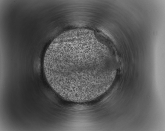 X0000089700494200707201743