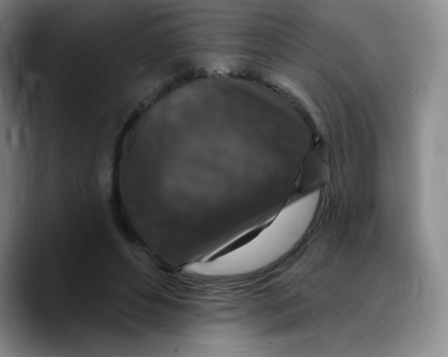 X0000089700496200707201743