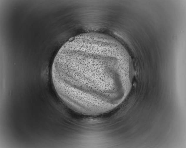 X0000089700498200707201743