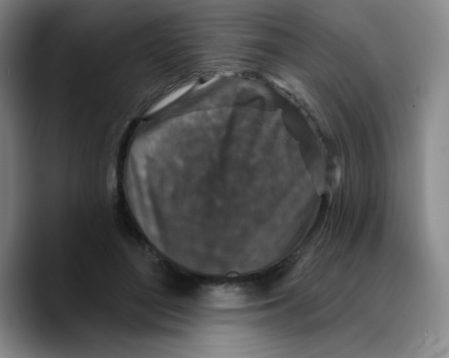 X0000089700500200707201743