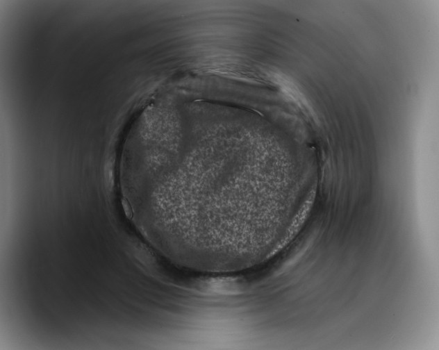 X0000089700501200707201743