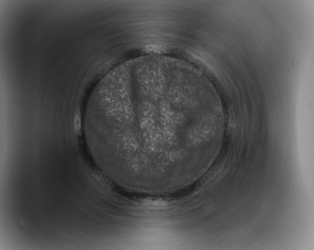 X0000089700502200707201743