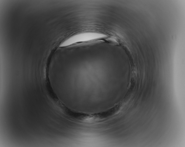X0000089700504200707201743
