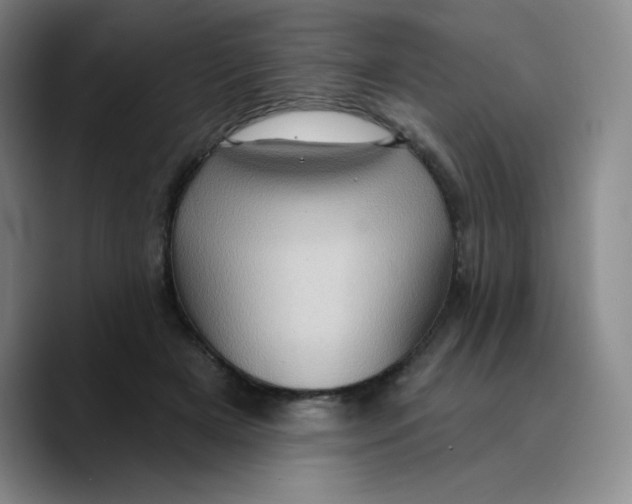 X0000089700505200707201743