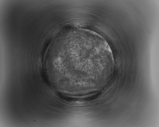 X0000089700506200707201743