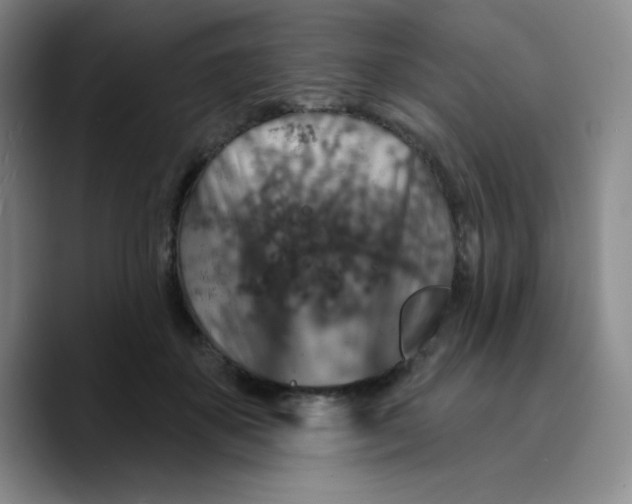 X0000089700507200707201743