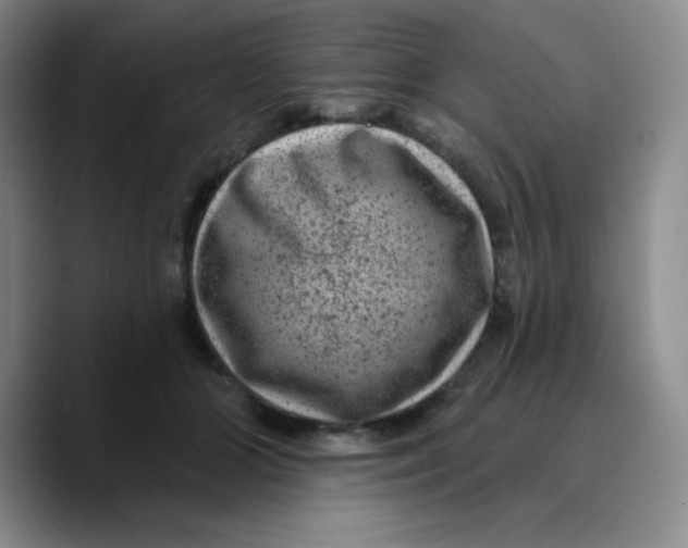 X0000089700510200707201743