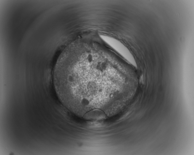 X0000089700511200707201743