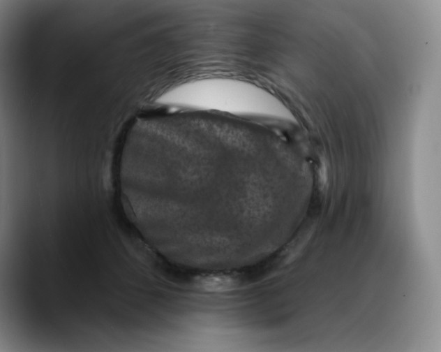 X0000089700512200707201743