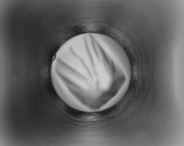 X0000089700514200707201743