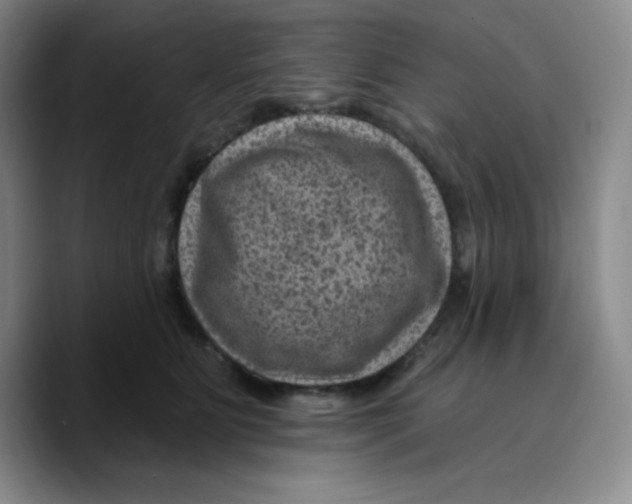 X0000089700515200707201743