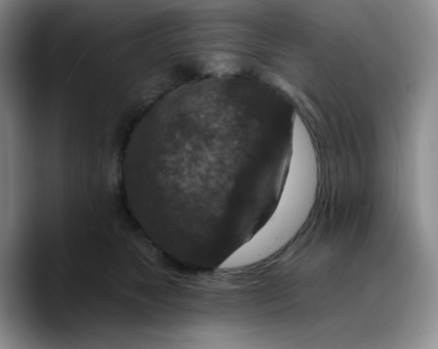 X0000089700517200707201743