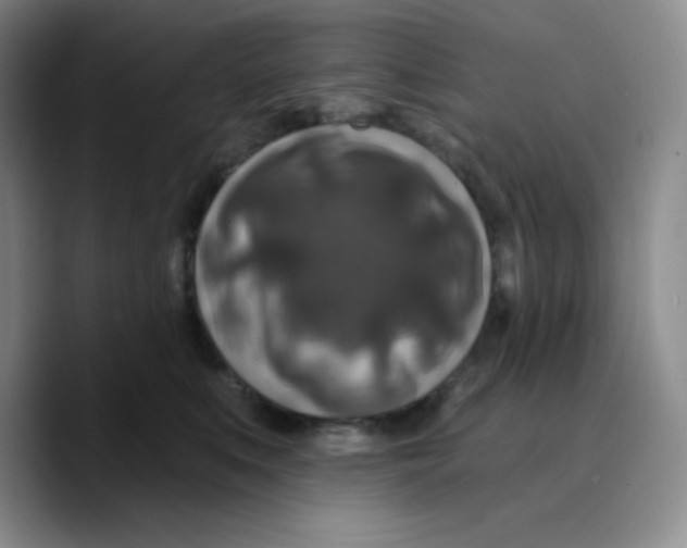 X0000089700519200707201743