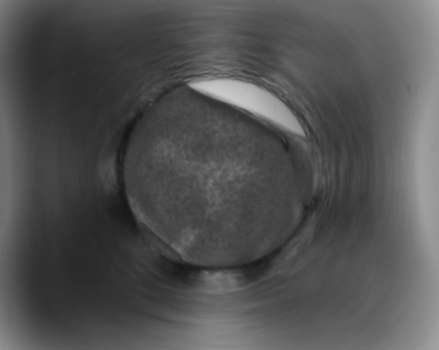 X0000089700520200707201743