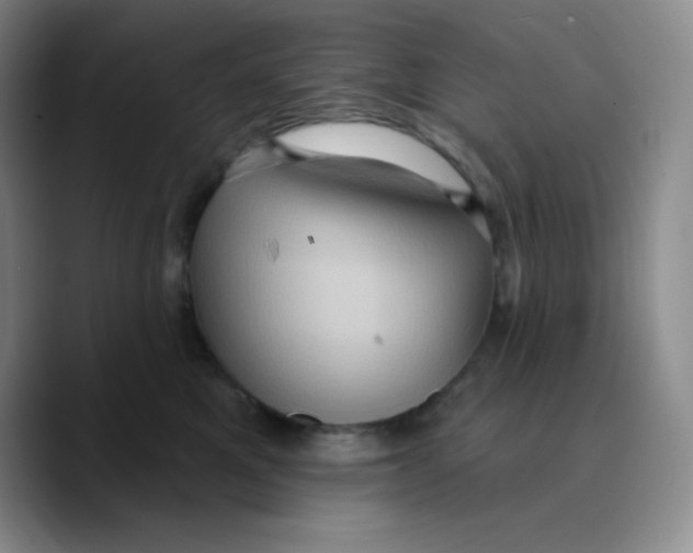 X0000089700521200707201743