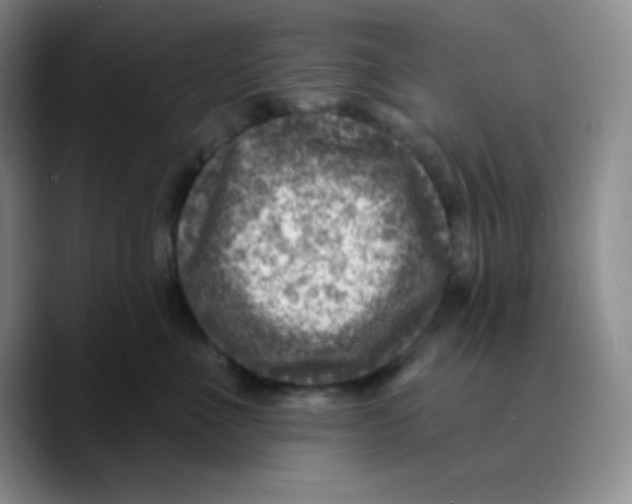 X0000089700523200707201743