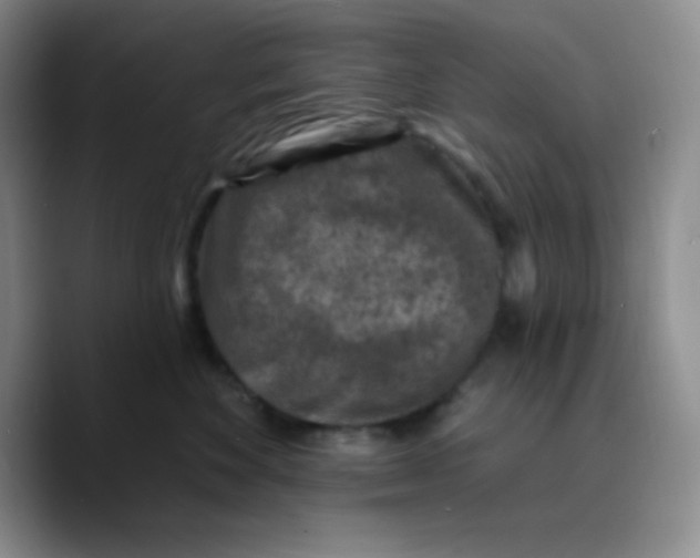 X0000089700524200707201743