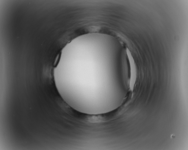 X0000089700525200707201743