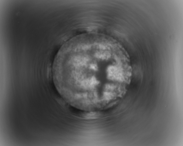 X0000089700527200707201743