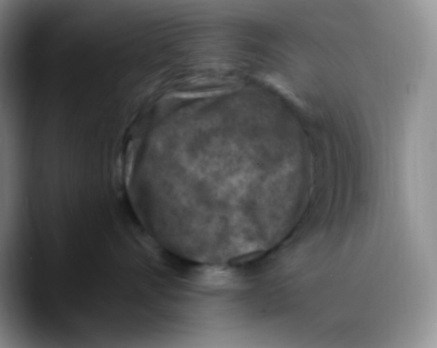 X0000089700528200707201743