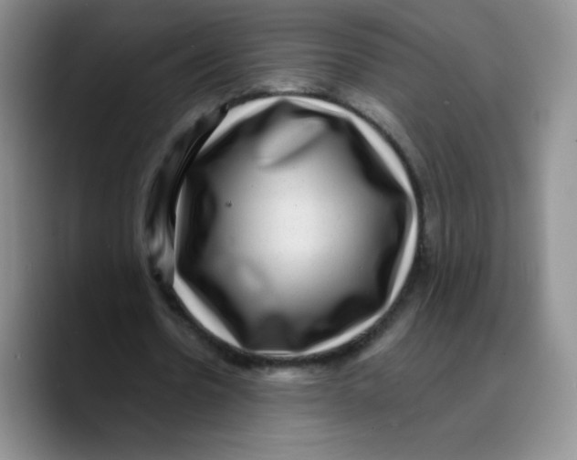 X0000089700530200707201742