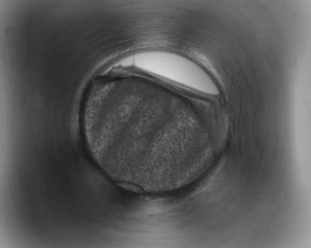 X0000089700531200707201742