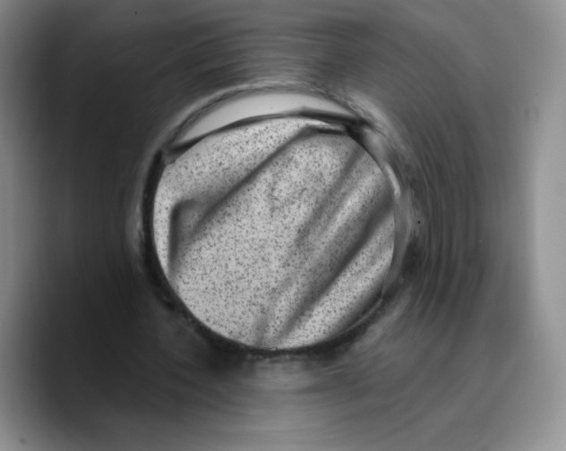 X0000089700532200707201742