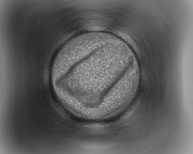 X0000089700533200707201742