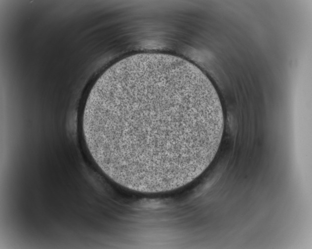 X0000089700534200707201742