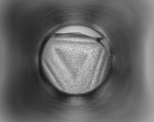 X0000089700535200707201742