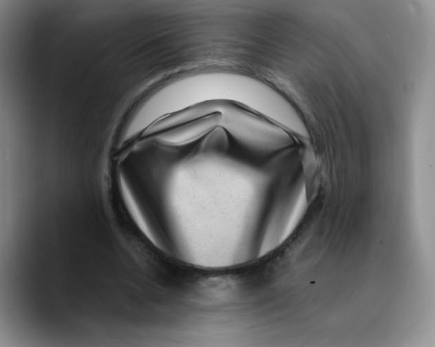 X0000089700536200707201742