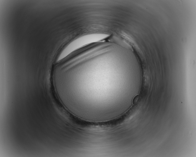 X0000089700538200707201742