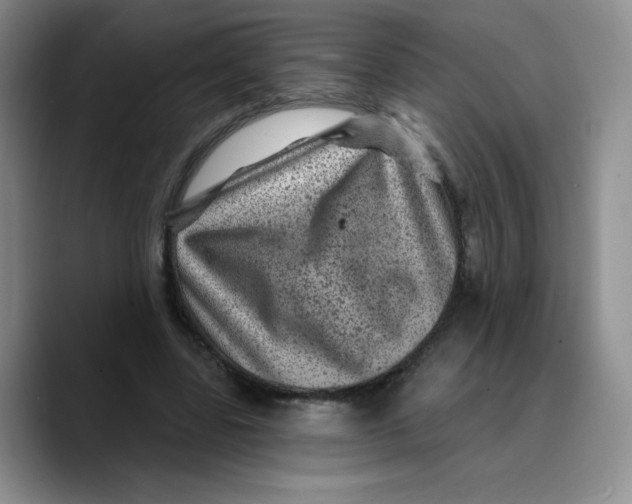 X0000089700539200707201742